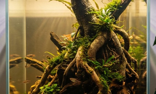 7岁儿童脸上皮肤酸网 - 7岁儿童脸上皮肤酸痛,7岁儿童脸上皮肤酸痒